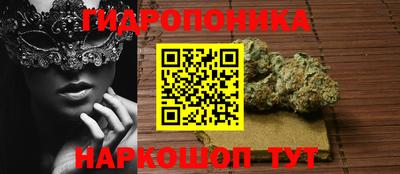 гидропоника Славгород