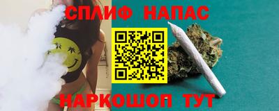 гидропоника Славгород